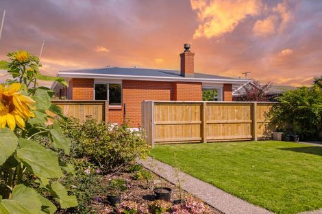 Photo of property in 55 Cutten Street, South Dunedin, Dunedin, 9012