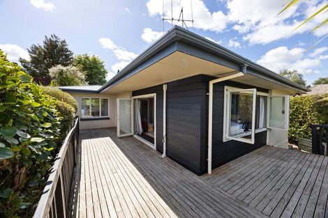 Photo of property in 8 Alison Street, Hamilton Lake, Hamilton, 3204