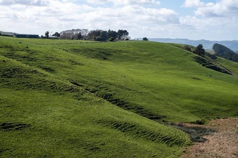 Photo of property in 697 Maungatawhiri Road, Raglan, 3295