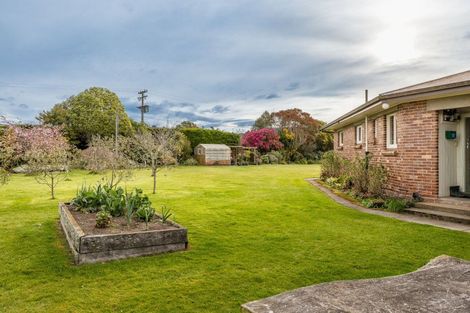 Photo of property in 229 Waihao Back Road, Waimate, 7979