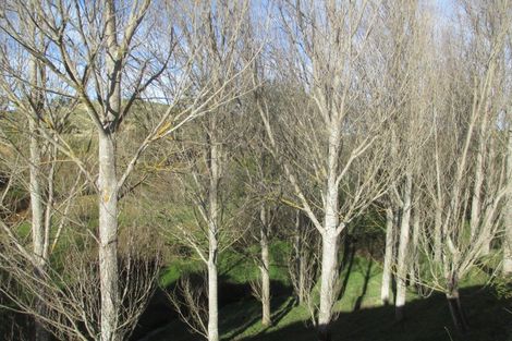 Photo of property in 258 Maunga Road, Dannevirke, 4976