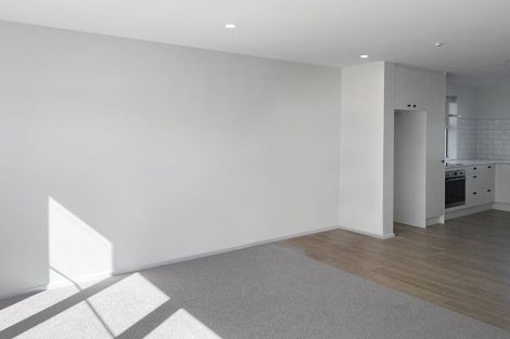 Photo of property in 113 Coronation Street, Spreydon, Christchurch, 8024