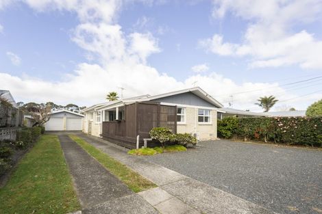 Photo of property in 74 Fitzroy Avenue, Fitzroy, Hamilton, 3206
