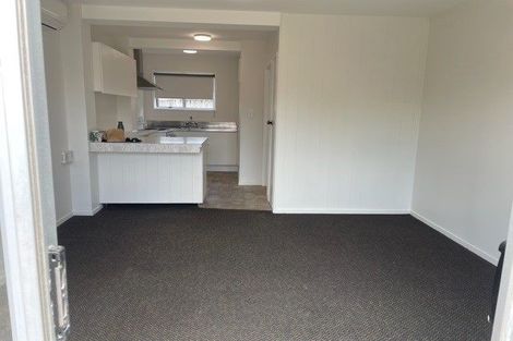 Photo of property in 57 Tripoli Road, Panmure, Auckland, 1072