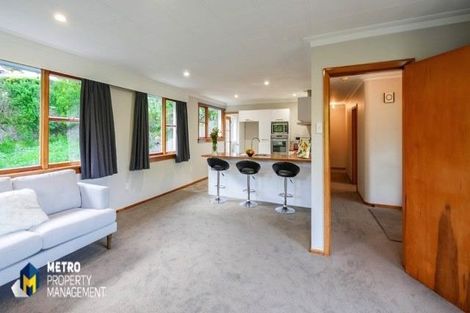 Photo of property in 44 Larnach Road, Waverley, Dunedin, 9013