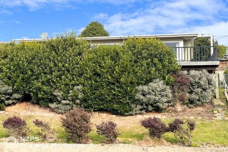 Photo of property in 119 Mulford Street, Concord, Dunedin, 9018