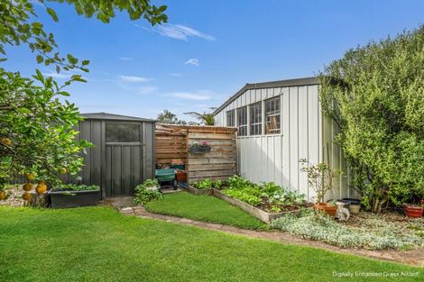 Photo of property in 45 Kea Street, Katikati, 3129