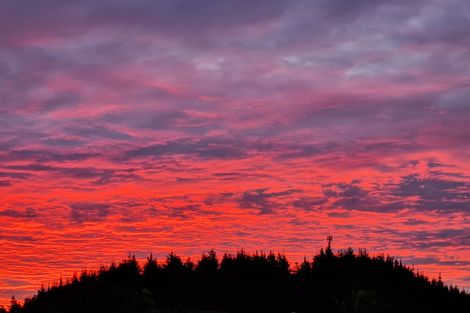 Photo of property in 21a Tamure Place, Ruakaka, 0116