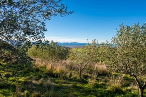 Photo of property in 362 Redwood Pass Road, Redwood Pass, Blenheim, 7274