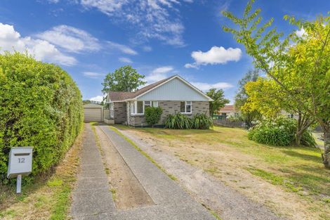 Photo of property in 12 Nikau Street, Wairakei, Taupo, 3332