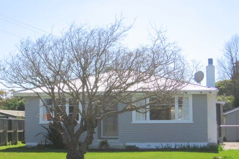 Photo of property in 22 Hulke Street, Foxton, 4814