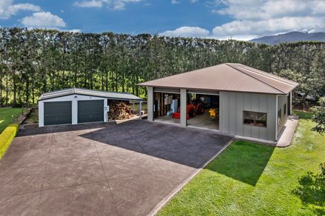 Photo of property in 237b Busby Road, Tahawai, Katikati, 3170