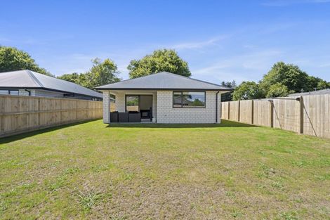 Photo of property in 67b Scott Street, Leamington, Cambridge, 3432