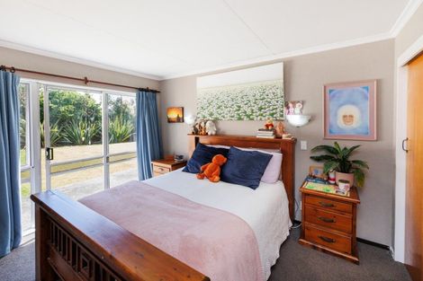 Photo of property in 9 Craven Court, Ashhurst, 4810