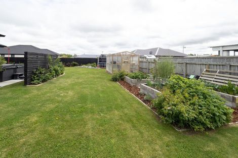 Photo of property in 5 Roxburgh Place, Tinwald, Ashburton, 7700