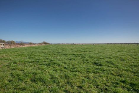 Photo of property in 672 Jary Road, Ohaupo, Cambridge, 3495