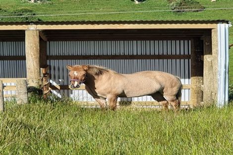 Photo of property in 1037 Reaby Road, Upper Charlton, Gore, 9774