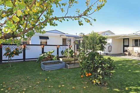 Photo of property in 910 Francis Hicks Avenue, Raureka, Hastings, 4120