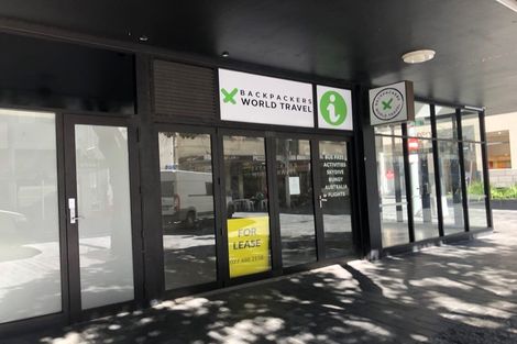 Photo of property in 11 Fort Street, Cambridge, 3434