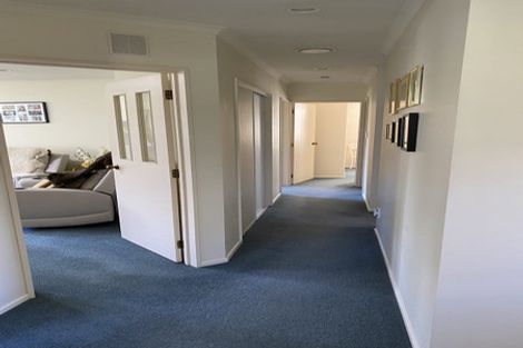 Photo of property in 31b Litchfield Street, Redwoodtown, Blenheim, 7201