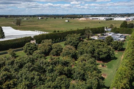 Photo of property in 13 Ronalds Lane, Te Puke, 3187