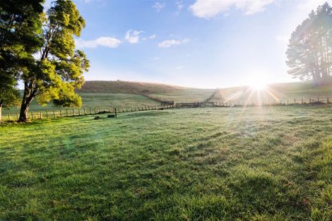 Photo of property in 802 Whareora Road, Whareora, Whangarei, 0175