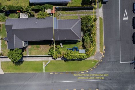 Photo of property in 46 Lyn Street, Lynmouth, New Plymouth, 4310