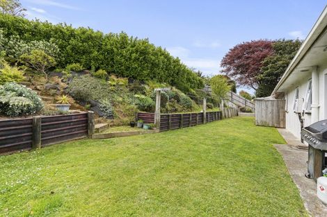 Photo of property in 293 Tukapa Street, Hurdon, New Plymouth, 4310