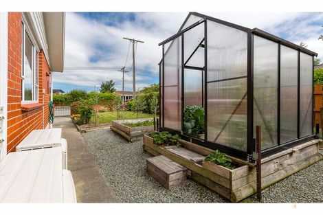 Photo of property in 11 Oxford Street, Waimate, 7924