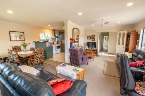 Photo of property in 63 Solomon Street, Brookfield, Tauranga, 3110