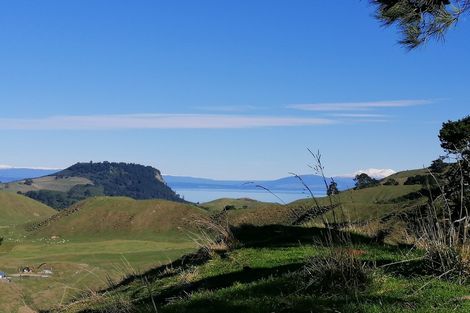 Photo of property in 76 Charnley Way, Kinloch, Taupo, 3385