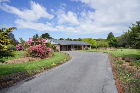 Photo of property in 132 Grant Road, Otatara, Invercargill, 9879