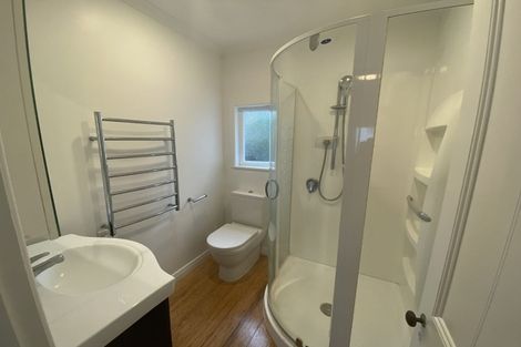 Photo of property in 53 Owen Street, Newtown, Wellington, 6021