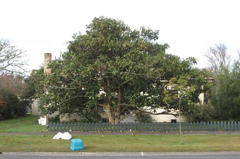 Photo of property in 30 Oxford Street, Fairfield, Hamilton, 3214