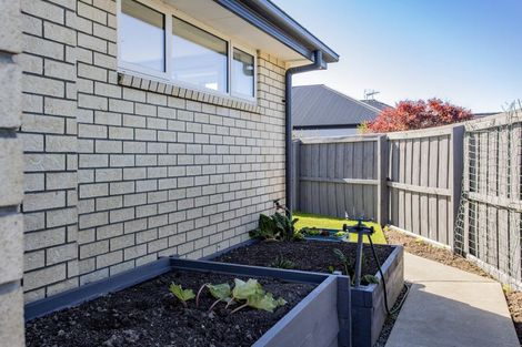 Photo of property in 40 Storer Street, Kaiapoi, 7630