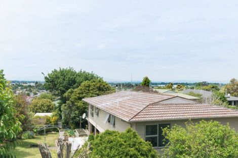 Photo of property in 6 Eastview Place, Feilding, 4702