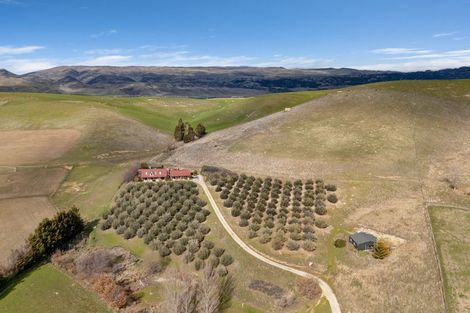 Photo of property in 60 Thomson Gorge Road, Tarras, Cromwell, 9383