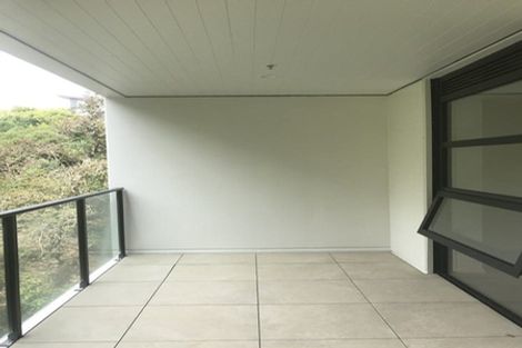 Photo of property in 306/8 Kingsland Terrace, Kingsland, Auckland, 1021