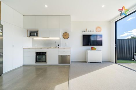 Photo of property in 25 Te Ara O Paetutu, Petone, Lower Hutt, 5012