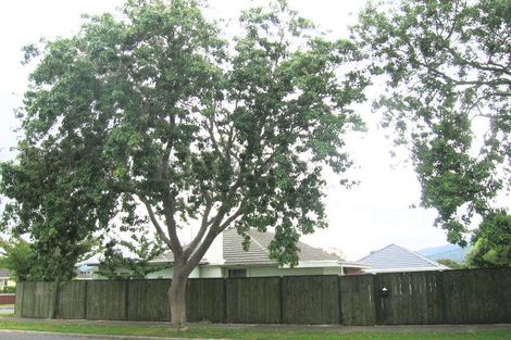 Photo of property in 21 Clyma Street, Elderslea, Upper Hutt, 5018