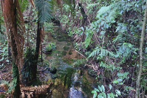 Photo of property in 762a Whakamarama Road, Whakamarama, Tauranga, 3179