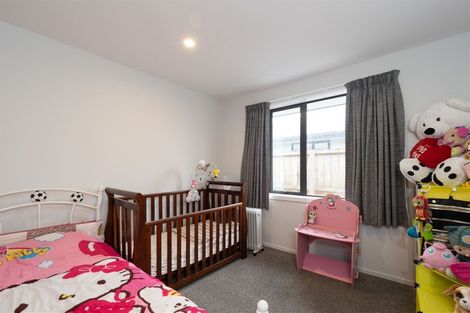 Photo of property in 32a Willow Street, Hampstead, Ashburton, 7700