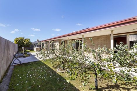 Photo of property in 20 Tavera Street, Blenheim, 7201