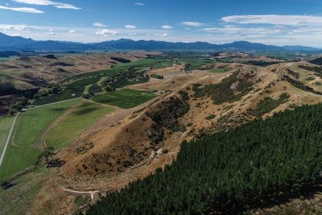 Photo of property in 287 Barracks Road, Hawkesbury, Renwick, 7272