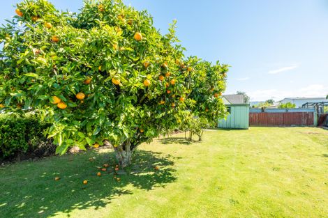 Photo of property in 1 Kauri Street, Elgin, Gisborne, 4010