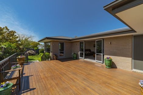 Photo of property in 12 Condell Avenue, Papanui, Christchurch, 8053