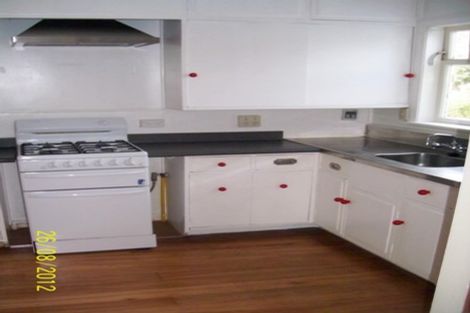 Photo of property in 237 Rintoul Street, Berhampore, Wellington, 6023