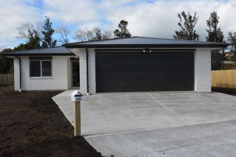 Photo of property in 45 Cyrus Street, Whalers Gate, New Plymouth, 4310