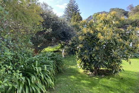 Photo of property in 6 Tatahi Street, Te Puru, Thames, 3575