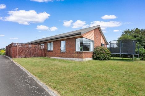 Photo of property in 10 Oak Street, Morrinsville, 3300